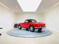 Alfa Romeo Giulia Spider 1600 Rouge - thumbnail 10