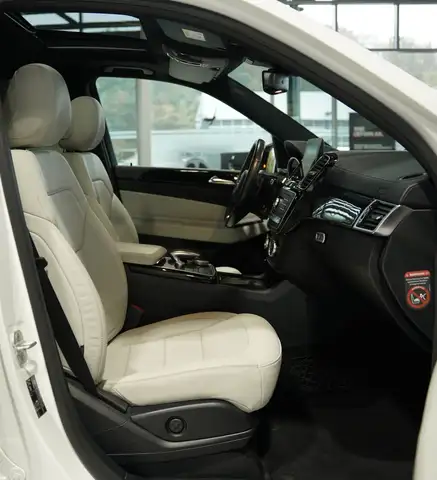 Mercedes-Benz Gle Class view 12