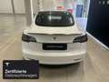 Tesla Model 3 Performance Blanco - thumbnail 5