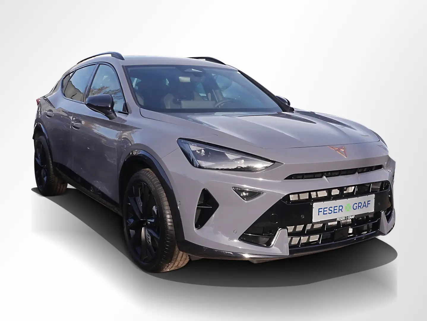 CUPRA Formentor VZ 2.0 TSI 4D Black Edition DSG AHK Grau - 2