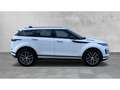 Land Rover Range Rover Evoque D165 DYNAMIC SE AWD NSW+AHZV Weiß - thumbnail 6