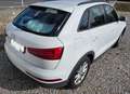 Audi Q3 Q3 2,0 TDI Weiß - thumbnail 4
