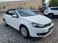 Volkswagen Golf Cabriolet Basis BMT* 1 Hand Alb - thumbnail 7