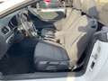 Volkswagen Golf Cabriolet Basis BMT* 1 Hand Alb - thumbnail 9
