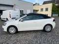 Volkswagen Golf Cabriolet Basis BMT* 1 Hand Alb - thumbnail 2