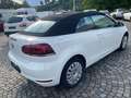 Volkswagen Golf Cabriolet Basis BMT* 1 Hand Blanco - thumbnail 23
