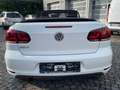 Volkswagen Golf Cabriolet Basis BMT* 1 Hand Alb - thumbnail 4