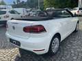 Volkswagen Golf Cabriolet Basis BMT* 1 Hand Alb - thumbnail 5