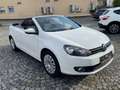 Volkswagen Golf Cabriolet Basis BMT* 1 Hand Blanco - thumbnail 24