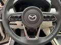 Mazda CX-60 CX-60 PHEV TAKUMI / Open dak / BTW AFTRB Beige - thumbnail 14