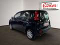 Fiat Panda PANDINA 1.0 HYBRID 70 Schwarz - thumbnail 12