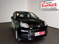 Fiat Panda PANDINA 1.0 HYBRID 70 Schwarz - thumbnail 16