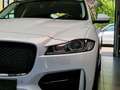 Jaguar F-Pace Black Pack R-Sport 25d AWD*Pano*Meridian* Blanc - thumbnail 10