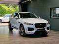 Jaguar F-Pace Black Pack R-Sport 25d AWD*Pano*Meridian* Blanc - thumbnail 7