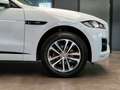 Jaguar F-Pace Black Pack R-Sport 25d AWD*Pano*Meridian* Blanc - thumbnail 5