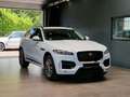 Jaguar F-Pace Black Pack R-Sport 25d AWD*Pano*Meridian* Blanc - thumbnail 1