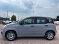 Fiat Panda 1.0 FireFly S&S Hybrid Gris - thumbnail 3