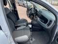 Fiat Panda 1.0 FireFly S&S Hybrid Gris - thumbnail 11
