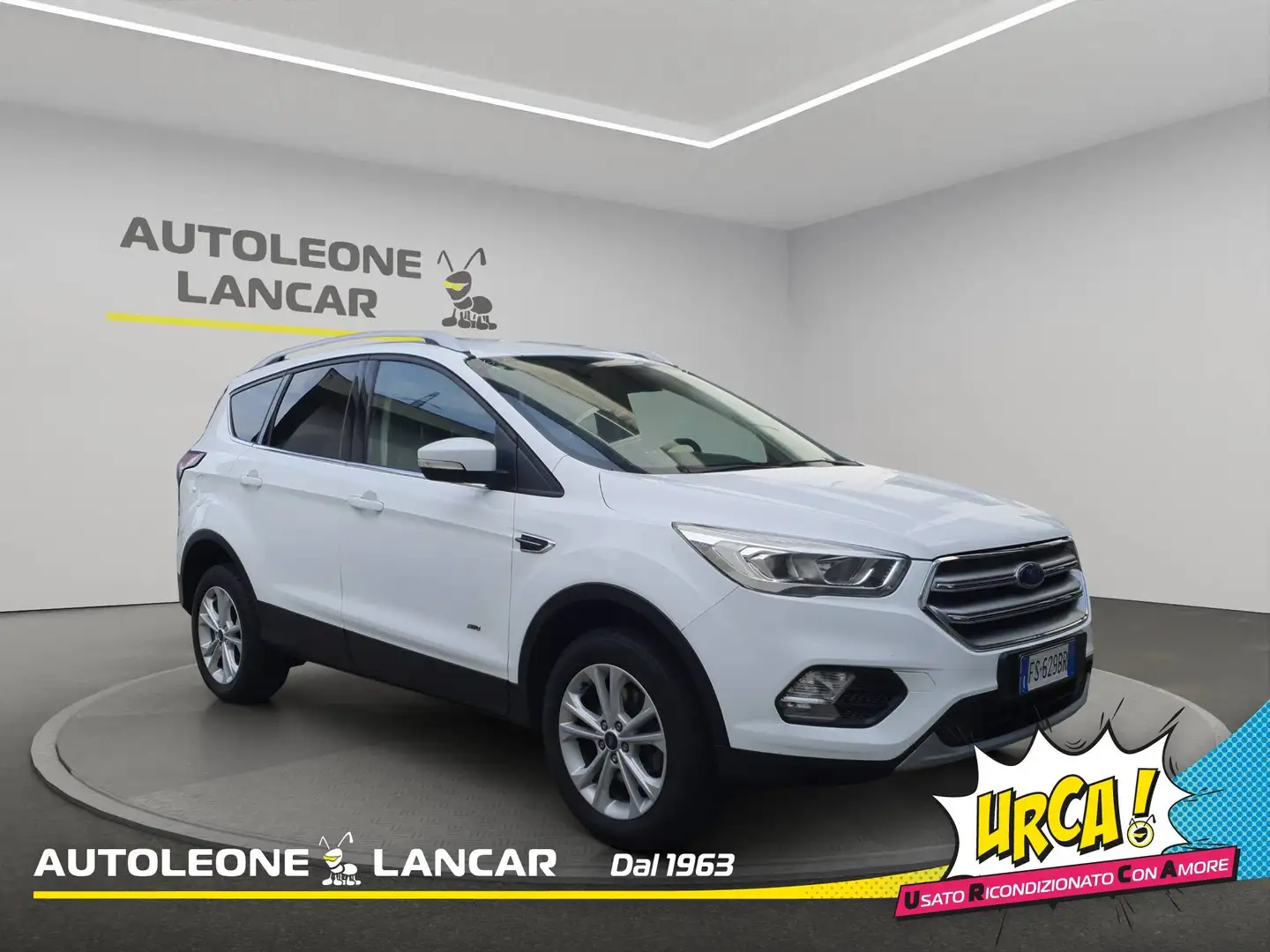 Ford Kuga 2.0 tdci Titanium awd 150cv powershift AUTOMATICO Blanc - 1