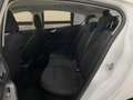 Ford Focus 1.5Ecoblue Trend 95 Blanc - thumbnail 21
