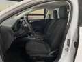 Ford Focus 1.5Ecoblue Trend 95 Blanc - thumbnail 16