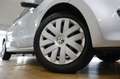 Volkswagen Polo V 1.2 TDI Trendline Tagfahrl. Klima ZV 15" Plateado - thumbnail 17