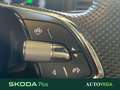 Skoda Karoq 2.0 tdi evo sportline 115cv dsg Pomarańczowy - thumbnail 13