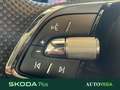 Skoda Karoq 2.0 tdi evo sportline 115cv dsg Pomarańczowy - thumbnail 14