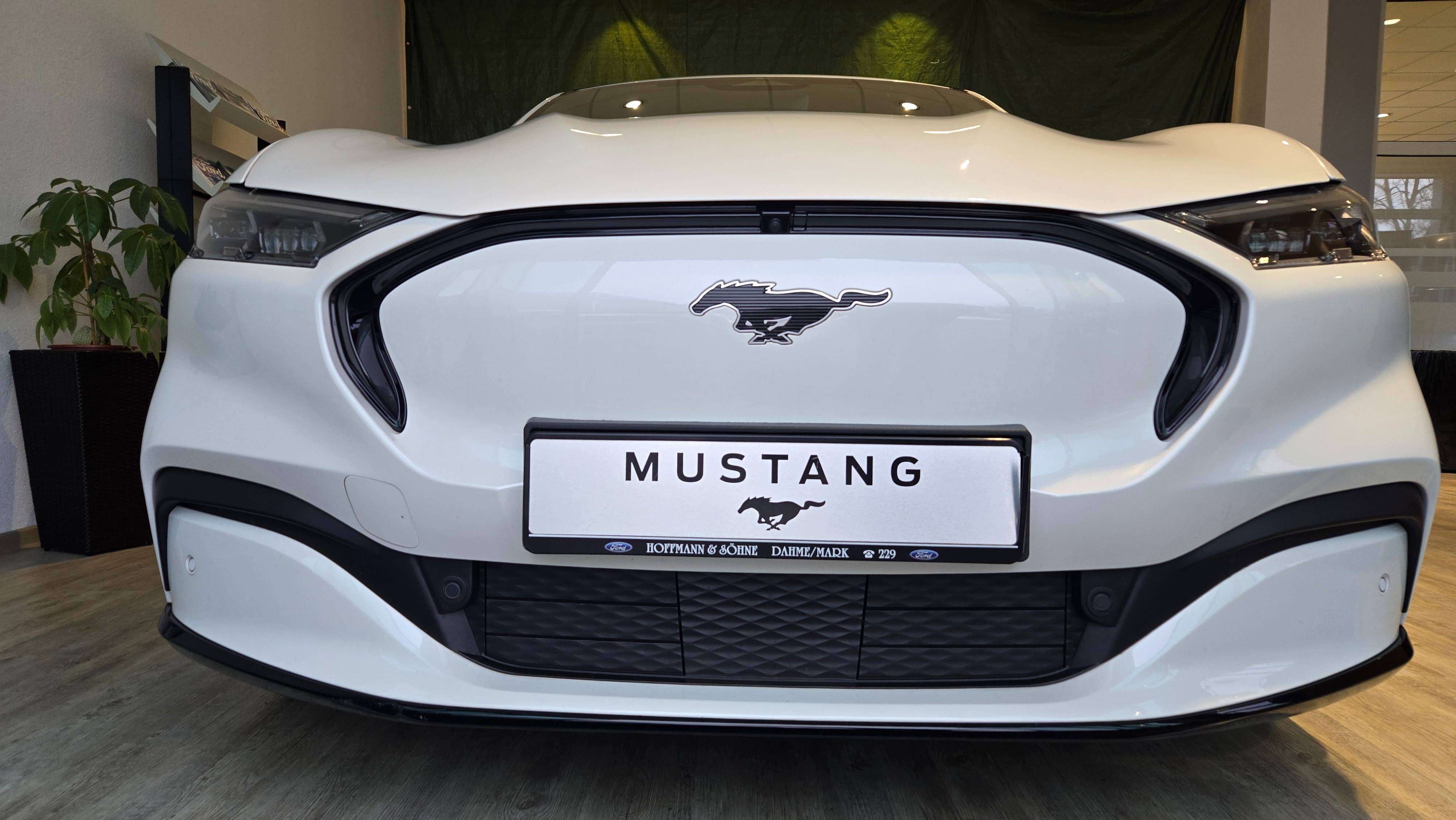 Ford Mustang Mach-E
