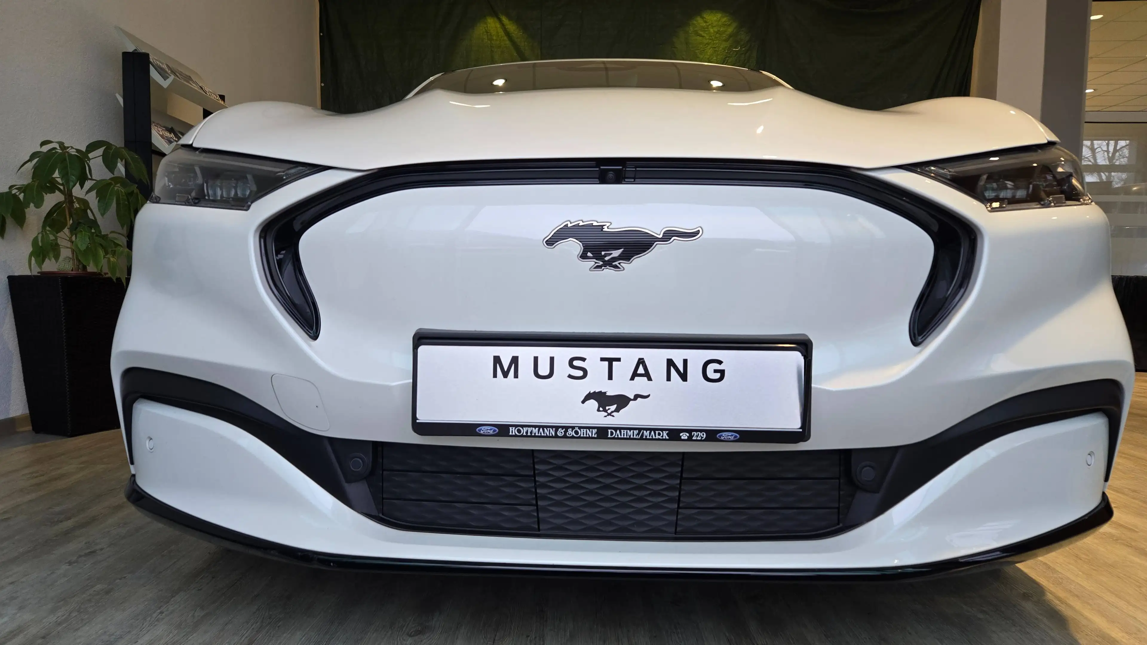 Ford Mustang Mach-E Premium AWD+99KW+Dach+Winter+LED+abn.AHK!