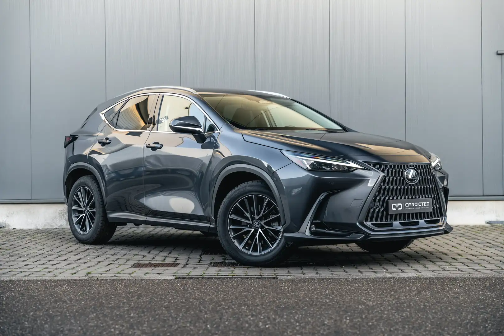 Lexus NX 350h Grau - 1