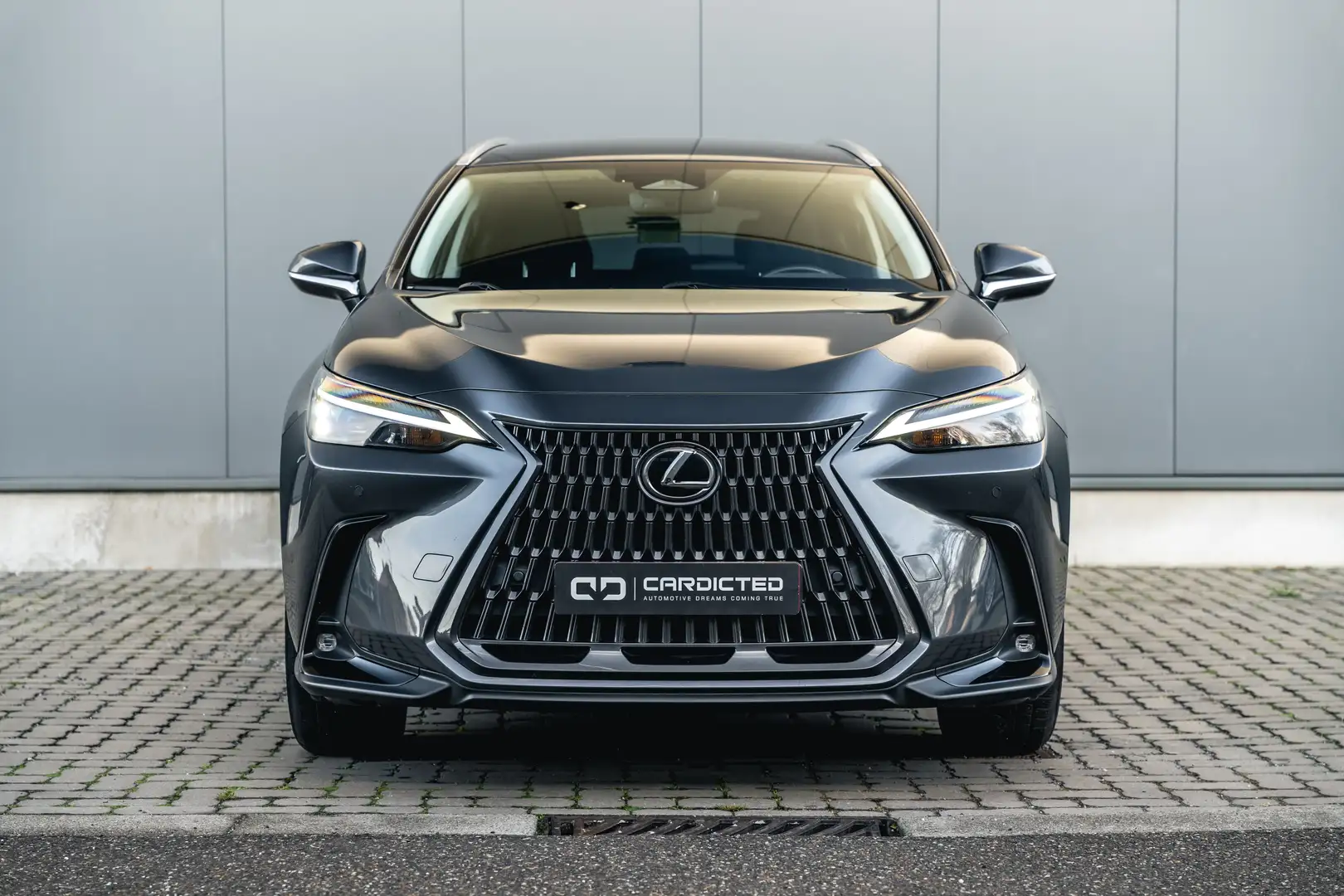 Lexus NX 350h Grau - 2