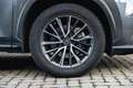 Lexus NX 350h Grau - thumbnail 10