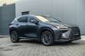 Lexus NX 350h Grau - thumbnail 4