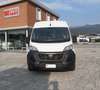 Opel Movano 35 BLUE HDI 2.2 140 CV L2H2 PMTM Blanc - thumbnail 2
