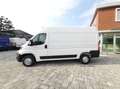 Opel Movano 35 BLUE HDI 2.2 140 CV L2H2 PMTM Blanc - thumbnail 4
