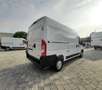 Opel Movano 35 BLUE HDI 2.2 140 CV L2H2 PMTM Blanc - thumbnail 10