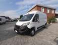 Opel Movano 35 BLUE HDI 2.2 140 CV L2H2 PMTM Blanc - thumbnail 3