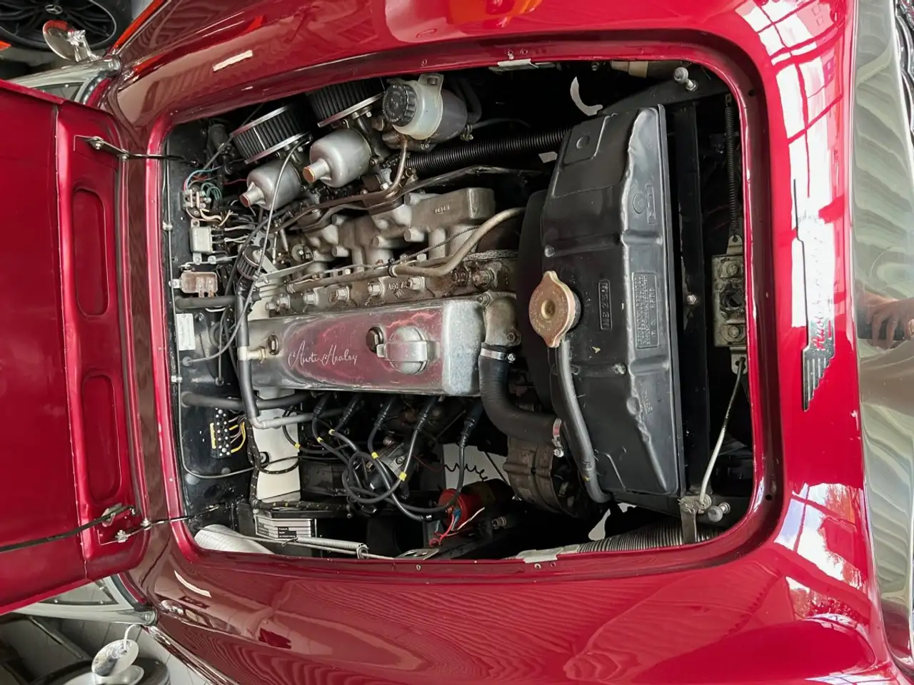 Austin-Healey 100 -six BN4 Roadster im Topzustand, foto 12