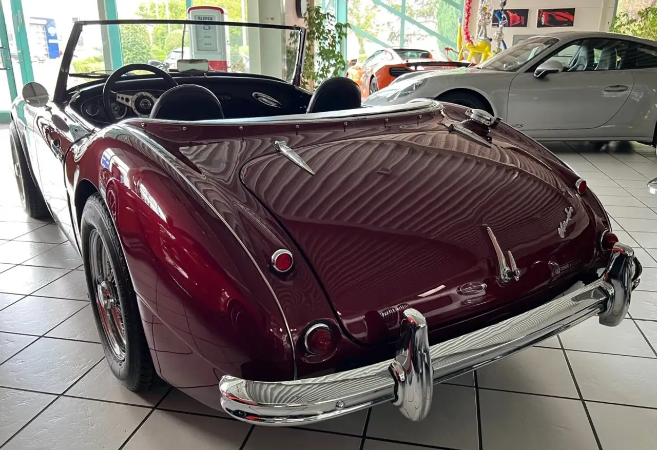 Austin-Healey 100 -six BN4 Roadster im Topzustand, foto 7