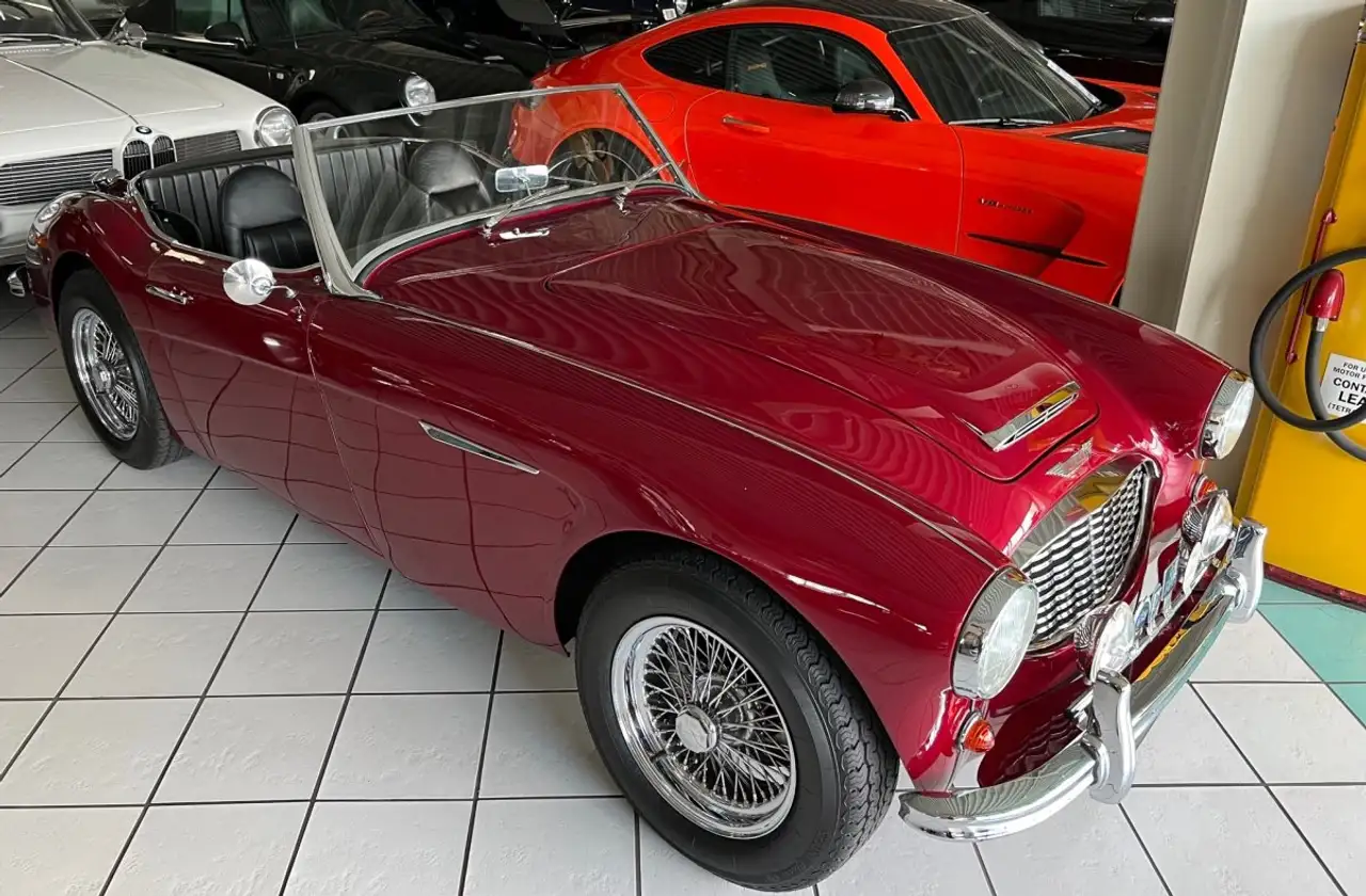 Austin-Healey 100 -six BN4 Roadster im Topzustand, foto 3