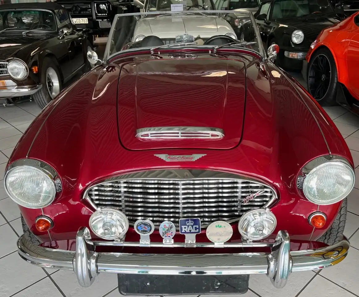 Austin-Healey 100 -six BN4 Roadster im Topzustand, foto 1