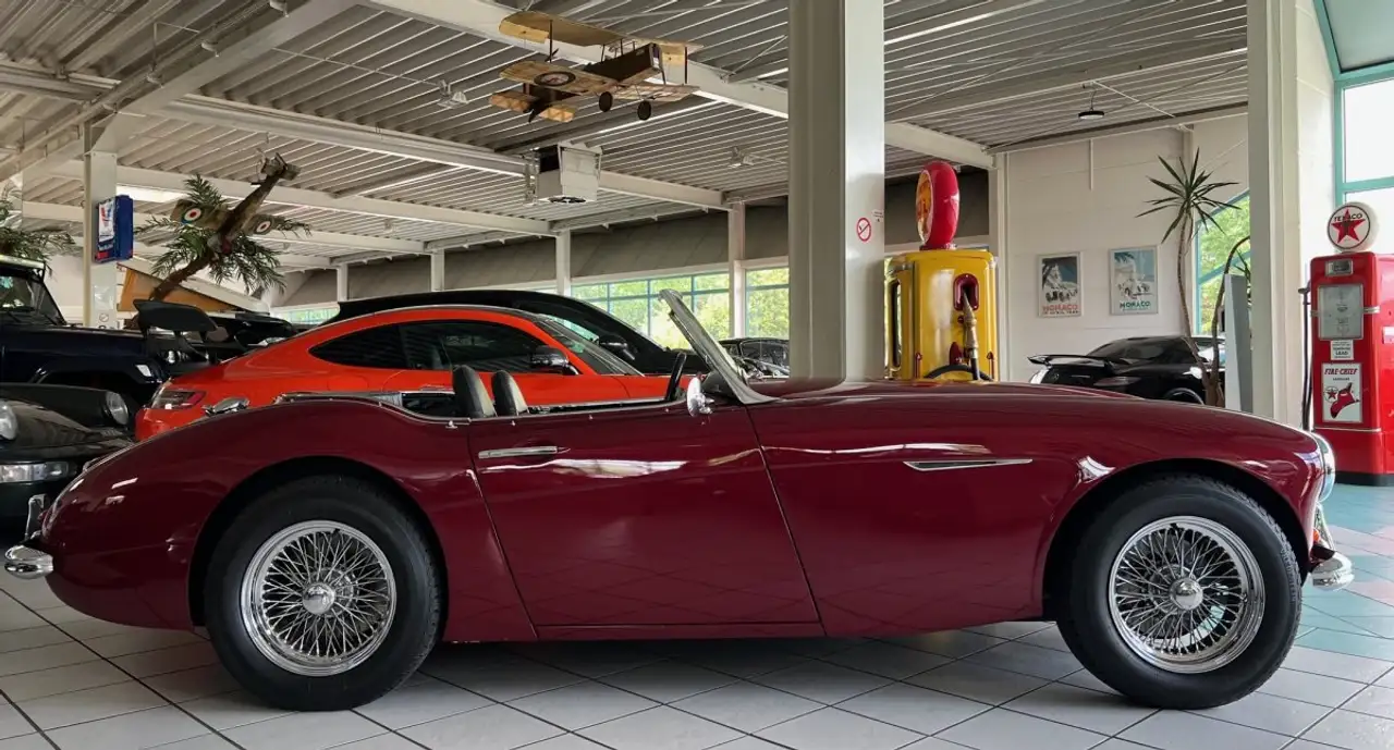 Austin-Healey 100 -six BN4 Roadster im Topzustand, foto 10