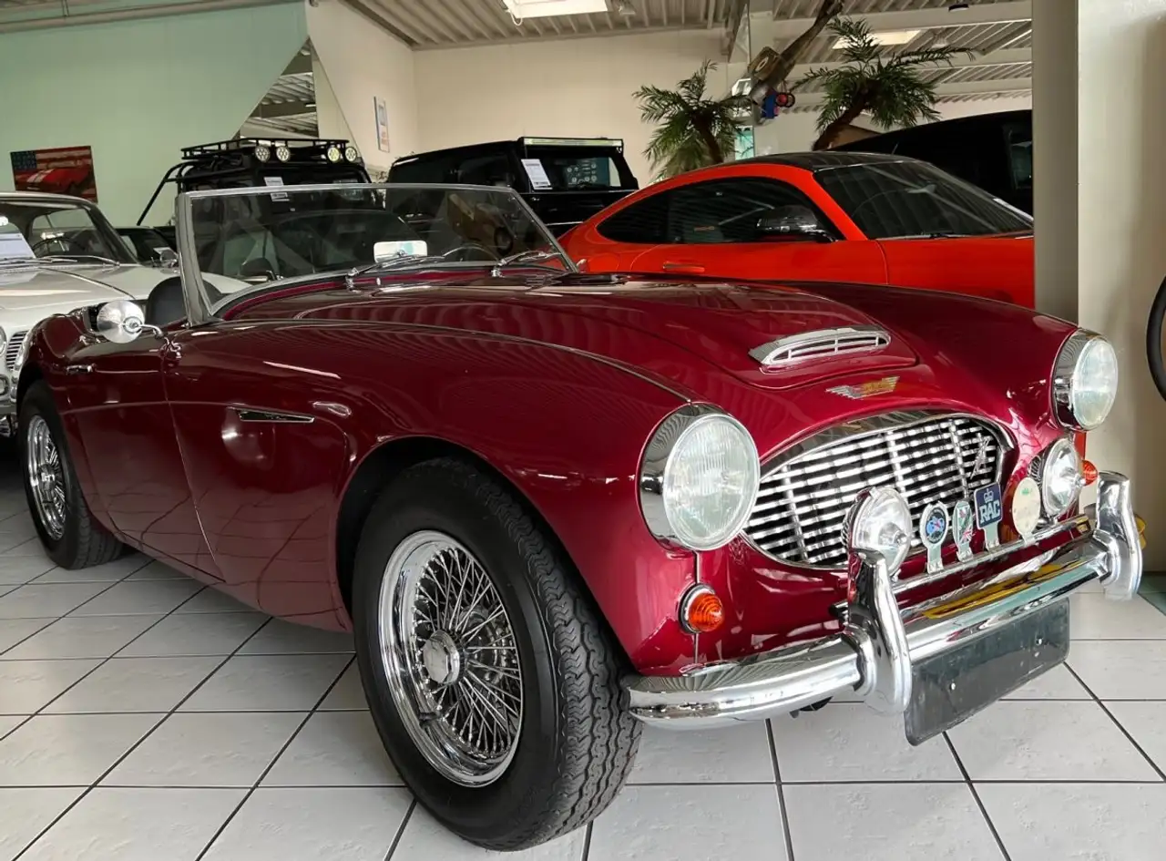 Austin-Healey 100 -six BN4 Roadster im Topzustand, foto 2