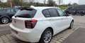 BMW 114 114D 95CV Lounge 5p 2014- 217000kms Blanco - thumbnail 2