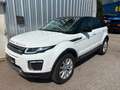 Land Rover Range Rover Evoque Range Rover Evoque HSE 2,0 TD4 Aut. HSE Weiß - thumbnail 1