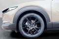 Mazda CX-30 2025 Nagisa SKYACTIV-X 186PS LEDER KAM LED Braun - thumbnail 19