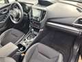 Subaru Forester Comfort*Autom.*Xenon*Navi*RFK*PDC* Grau - thumbnail 10
