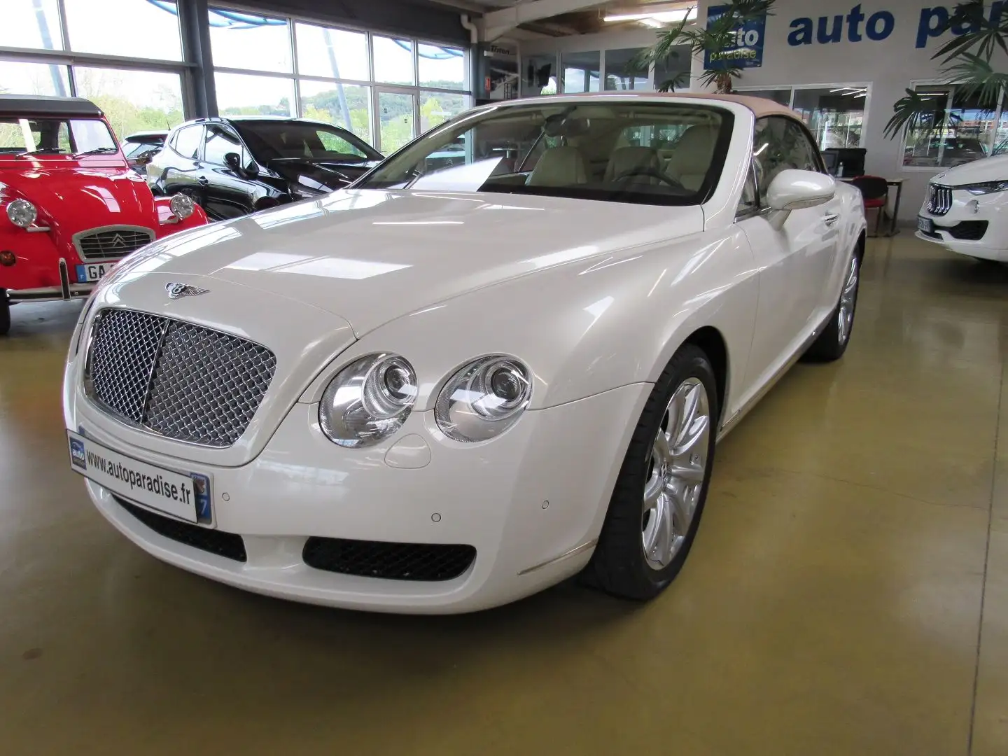 Bentley Continental GTC 560 CABRIOLET - 1