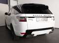 Land Rover Range Rover Sport Range Rover Sport D300 HSE Dynamic PANO HEADUP 22Z Weiß - thumbnail 24